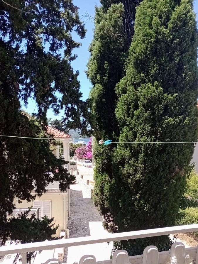 Apartment Brcic Biograd Na Moru Exterior foto